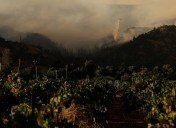 Evacuations ordered as wildfire blazes California’s famed Napa County