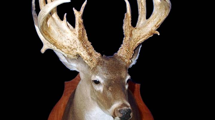 Here are 10 of the biggest non-typical archery bucks ever killed in MS