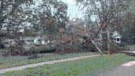 Public Works will start Zone 3 storm debris pickup Aug. 18