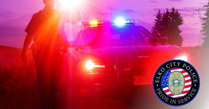 Child safety presentation hosted by Elko Police Department