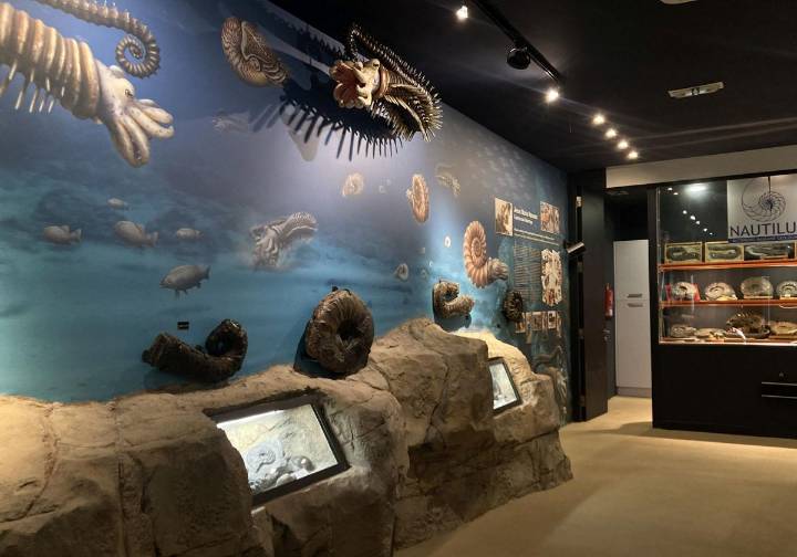 Pequeños museos que esconden grandes tesoros