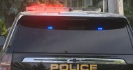Active shooter: Police advise residents to shelter in place, others to stay away