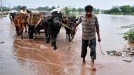 Local groups rally to provide relief to people in Pakistan amid 'devastating' floods