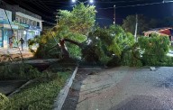 Conductor provoca destrozos en Vista Hermosa y abandona su vehículo