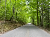 Report: Kentucky has awarded $150M of single-bid asphalt contracts this year