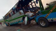 At least one killed and several injured after bus ploughs into elephant as shocking pictures show horror damage