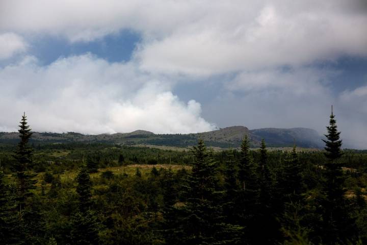 Wildfire in Nova Scotia grows; cooler temperatures help firefighters in N.L.