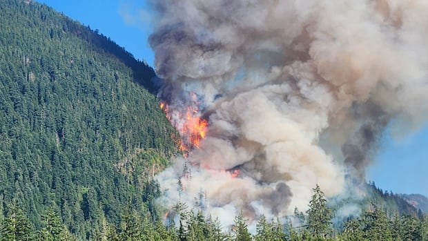 New wildfire on Vancouver Island grows aggressively, knocking out power for hundreds