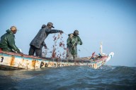 A ‘sea war’ brews off Gambia as desperate local fishermen attack foreign vessels, and each other