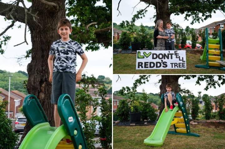 Deaf, blind boy wins against insurance company to save favorite tree
