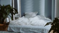 Aprendé a decorar tu dormitorio con estas 9 plantas que purifican el aire y te van a regalar noches de sueño más profundo