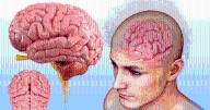 Científicos logran "leer la mente" en un impactante experimento con cerebros humanos