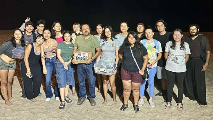 Celebran 40 años de proteger a la tortuga marina