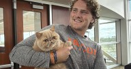 College football traditions: Pudge The Cat has everyone purring on the Bowling Green football team