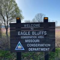 Eagle Bluffs Conservation Area delays construction project