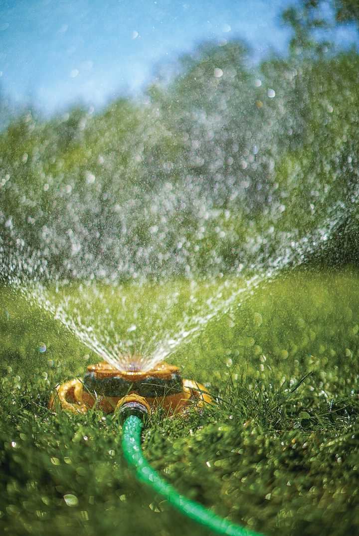 Peoria water customers may schedule a free landscape consultation
