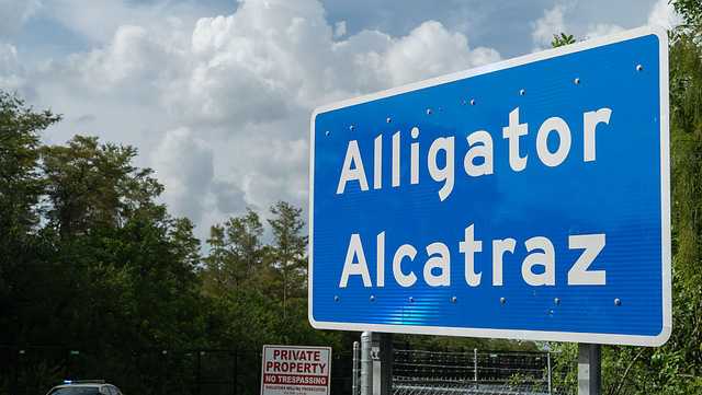 Judge denies stay on Alligator Alcatraz closure