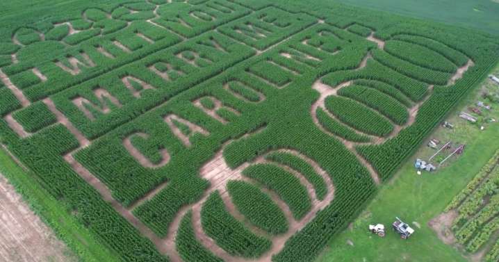 Think wedding proposals are corny? Wait till you see this one