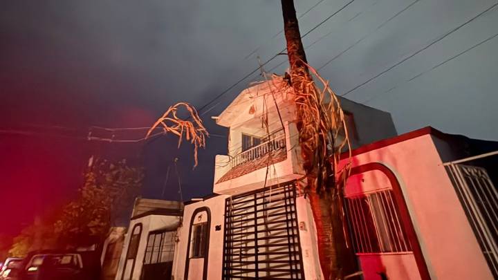 Tormenta eléctrica ocasiona incendio de palma en Torreón