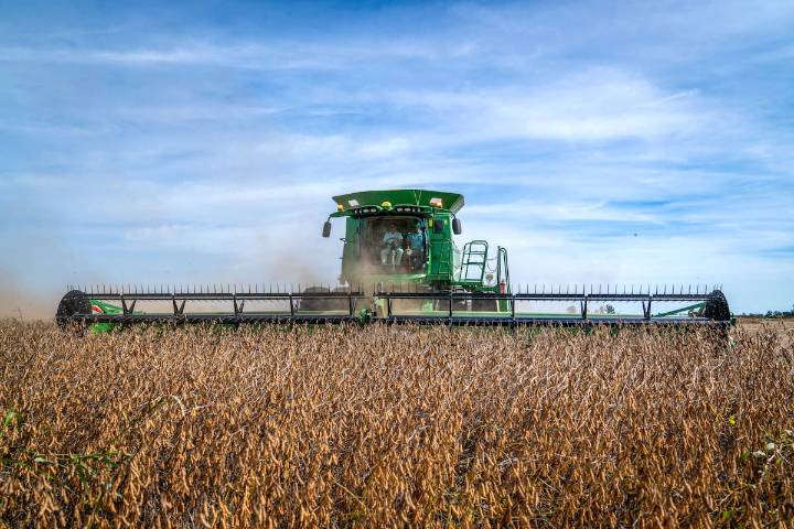 Informe. El 65% del financiamiento de la campaña agrícola 2024/2025 se tomó en dólares, según una plataforma