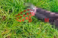 Encuentran mujer asesinada y maniatada en la Toluca