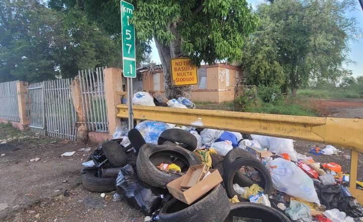 PIP presenta resolución para investigar programa de reciclaje en Salinas
