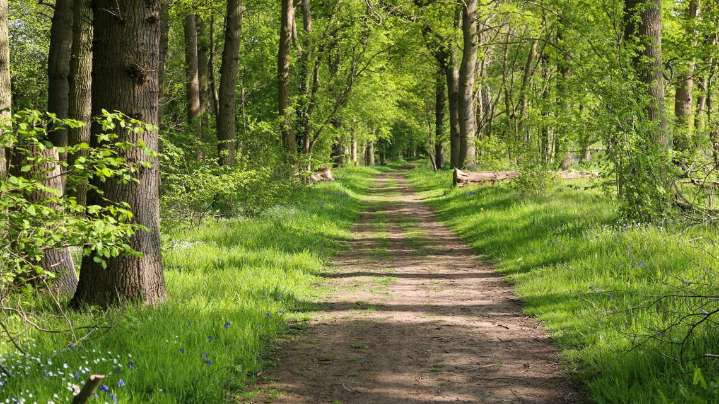 Texas adds Bear Creek State Park to parkland