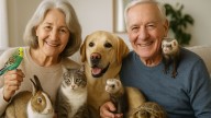 Ni perros ni gatos: la mascota recomendada para los mayores de 65 años que todo el mundo pasa por alto