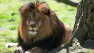 NJ spot makes USA TODAY's list of best free attractions in country