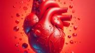 Identificada una variación genética que podría reducir el riesgo de sufrir enfermedades cardiovasculares