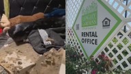 Familia hispana denuncia abandono tras colapso de techo en complejo Langley Gardens