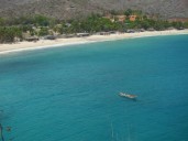 Avistamiento de orcas en Aragua sorprende a pescadores