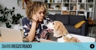 Por qué hablar con tu perro puede fortalecer la relación según la psicología
