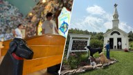 What to know about Dog Mountain in St. Johnsbury, Vt.