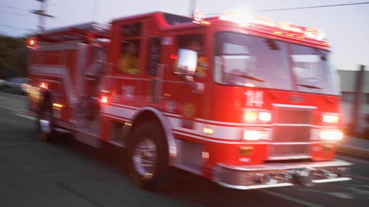 Two dogs die in Solway fire
