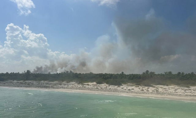 Conafor atiende incendio forestal en Holbox