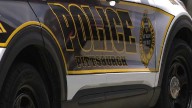 Animal cruelty investigation underway Pittsburgh's Northview after mice appear to be killed with fireworks