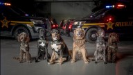 Franklin County Sheriff’s Office sends K-9s to Minnesota following deadly school shooting