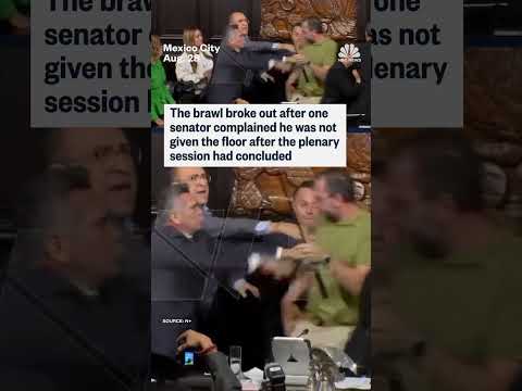 Tempers flared in Mexico's senate as disagreeing politicians pushed and shoved each other