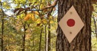 The Red Cedar Trail Challenge will run the entire month of September