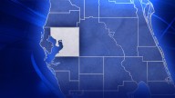 Plant City woman hits, kills toddler while backing out of driveway: Police