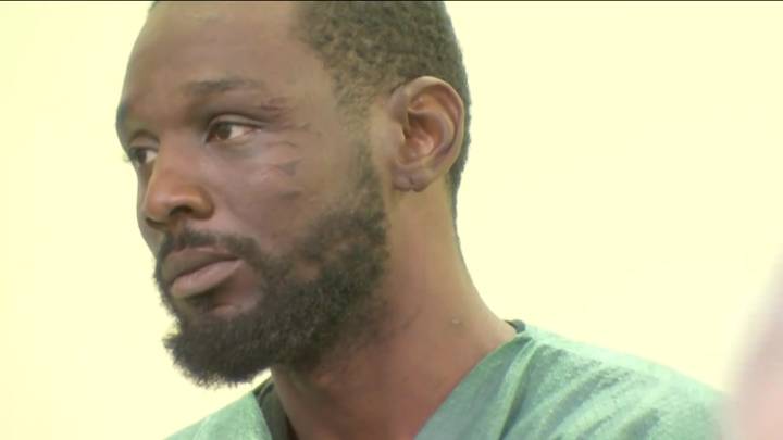Man climbs tree and hides on Malden roof to evade police, eventually taken into custody