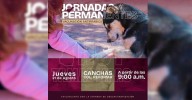 Gobierno de Matamoros efectúa jornada permanente de vacunación antirrábica y descharrización
