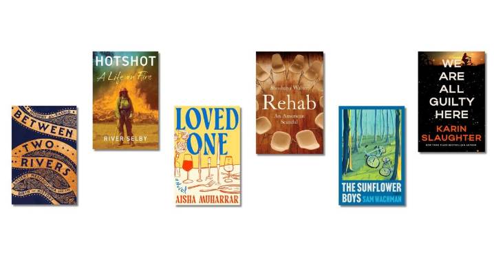 New books this week: investigating rehab, fighting wildfires, and a Slaughter thriller