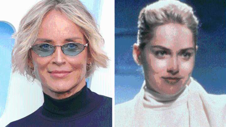 Sharon Stone Slams Basic Instinct Reboot