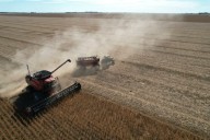 “Hace falta un esquema diferenciado”: el pedido del campo para las economías del NOA y el NEA