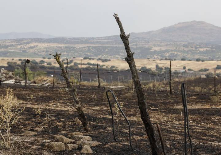 AEMET alerta de la posible propagación de incendios por las tormentas secas