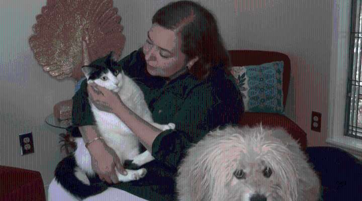 Mystery animal deaths alarm McAllen neighborhood