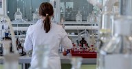 Confirman caso de peste bubónica en EU: qué es, cuáles son sus síntomas y cómo se contagia
