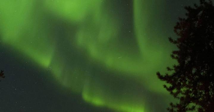 See the world in vertical: Top photos by AP's photojournalists